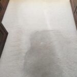 Przykładowa realizacja prania wykładziny w biurze Poznań - foto1