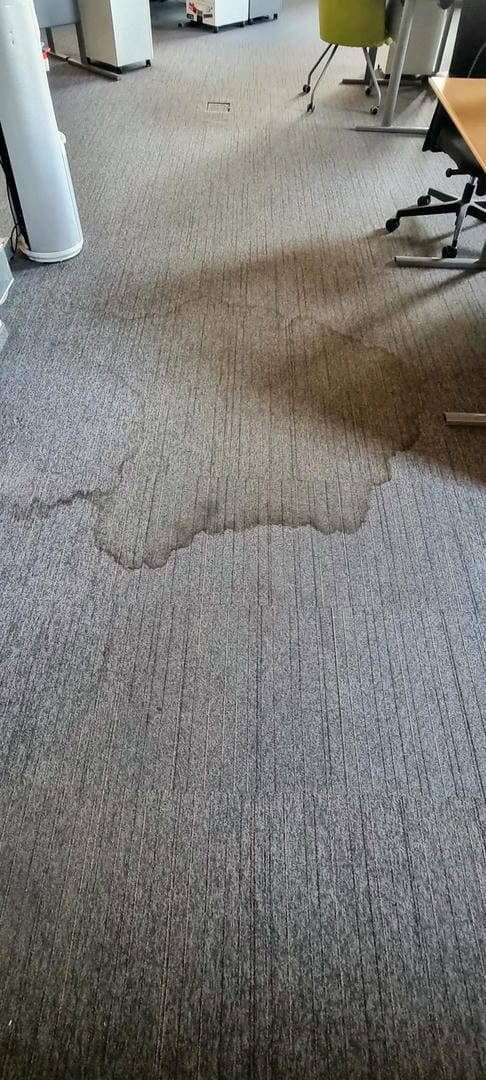 Czyszczenie i pranie wykładzin